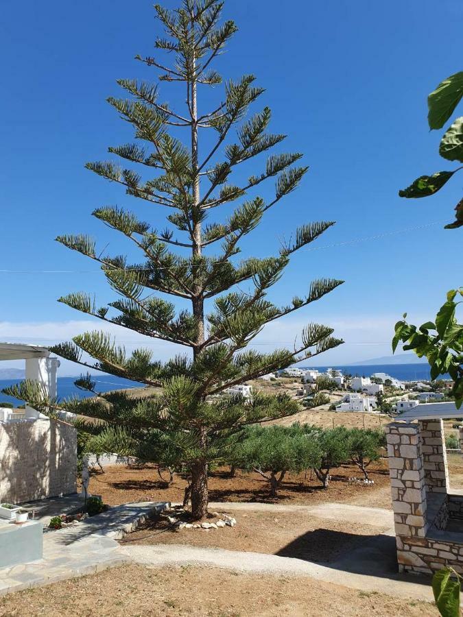 Anthoula'S Sea View Apartment Писо-Ливади Экстерьер фото