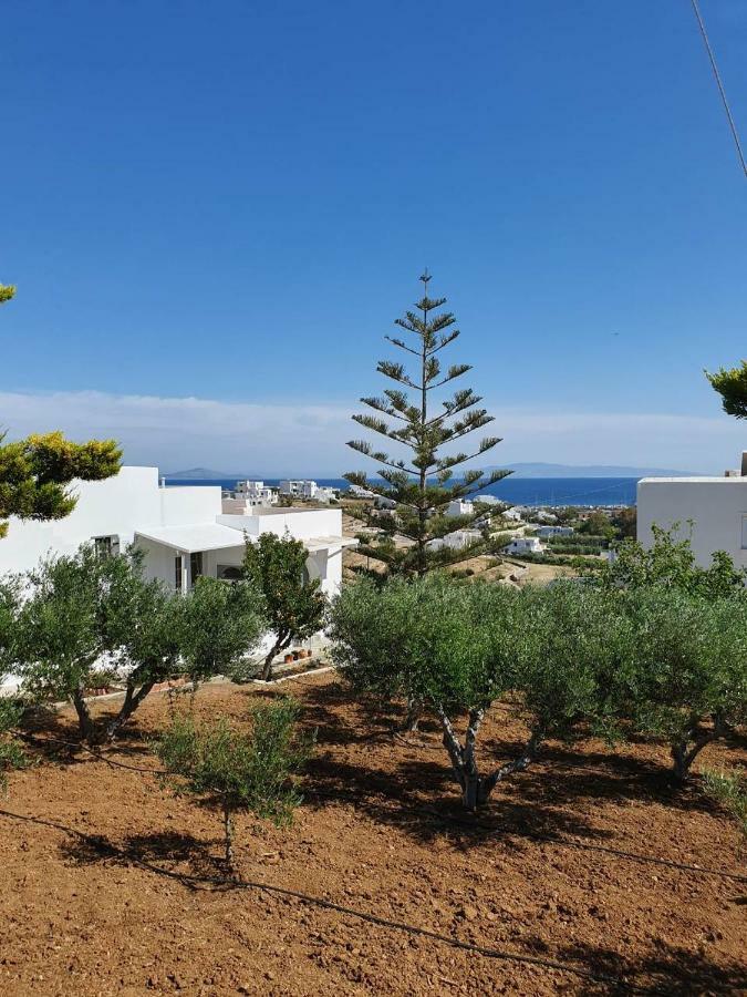 Anthoula'S Sea View Apartment Писо-Ливади Экстерьер фото